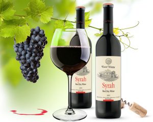wine syrah